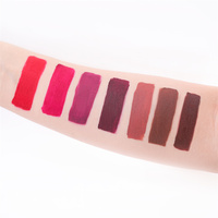 Rouge à lèvres liquide mat végétalien OEM, hydratant, longue tenue, résistant à l'eau, format standard, vente en gros