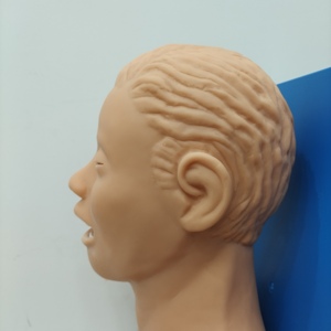 Nouveau modèle de formation d'intubation des voies respiratoires trachéales orales et nasales humaines électroniques de science médicale avancée avec alarme de pression dentaire - Product Image 6