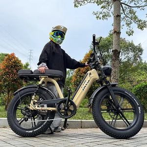 Bicicleta Eléctrica R7 Fatbike 48V <span class=keywords><strong>de</strong></span> Litio, Bicicleta Eléctrica Deportiva <span class=keywords><strong>de</strong></span> <span class=keywords><strong>Montaña</strong></span> con Cuadro <span class=keywords><strong>de</strong></span> Acero <span class=keywords><strong>de</strong></span> 20 Pulgadas, Neumáticos Anchos, E-Bike Mtb, Bicicleta Eléctrica Surron - Product Image 6