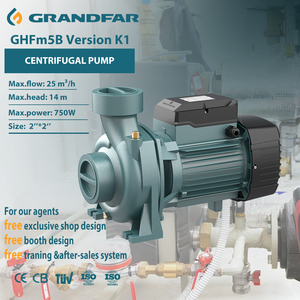 Pompe centrifuge Grandfar 1HP à haut débit pour l'irrigation agricole, moteur à fil de cuivre, OEM/ODM, eau propre, version GHFm5B K1, agriculture - Product Image 1