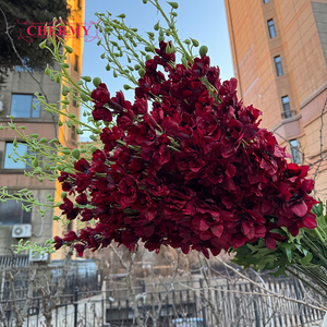 DC126 Décoration florale géante en soie, <span class=keywords><strong>Delphinium</strong></span> rouge foncé, tige de fleur artificielle, Jacinthe 120CM, Fleurs de <span class=keywords><strong>Delphinium</strong></span> - Product Image 3