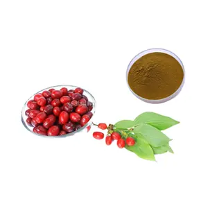 Pflanzen extrakt Hartriegel Frucht extrakt Fructus Corni Extract cornelian Kirsch frucht extrakt Pulver