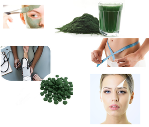 Polvo de espirulina orgánica de alta calidad, algas verdes, clorofila no OMG, chorella no irradiada - Product Image 3