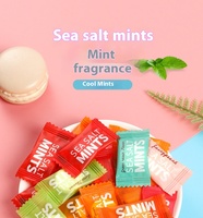 Bulk Unsweetened Sea Salt Mint Hard Candy with Flavors of Sweet Sour Fruity Fruit Customizable Tablet Candy Sugar Ingredients