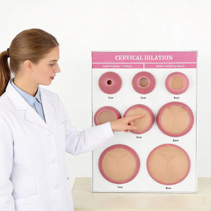 DARHMMY Geburtshilfe-Übungsmodell für die Gebärmutterhalsdilatation - 10 Modelle mit 1-10 cm Öffnung für Hebammenpraxis - Product Image 2