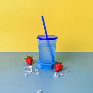 宠物个性化禁用塑料水闸冰饮料400毫升新奇冷水变色杯带盖和吸管