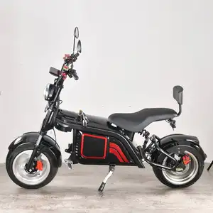 Golf Elektro ProE-Scooter 49Ccガスシー電子スクーター1輪モト電動スクーター1500WCitycoco