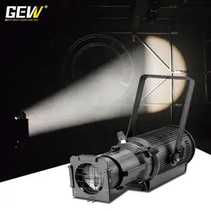 Modernes neuartiges Design Golden Supplier Fresnel Light