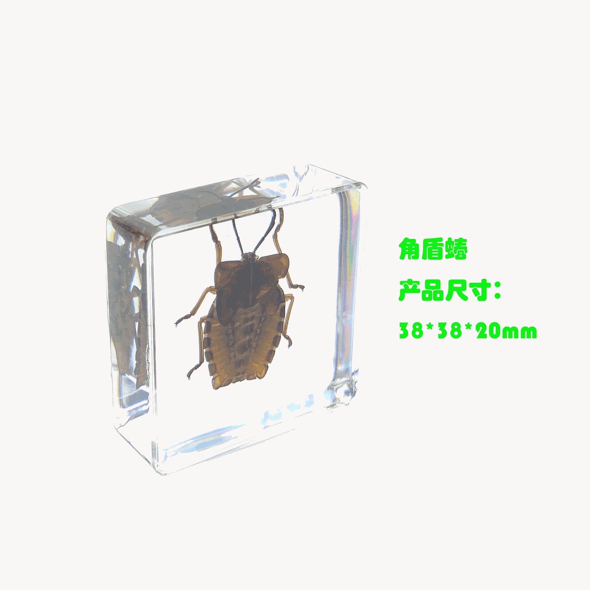 Sp cape bouclier bug-442916mm