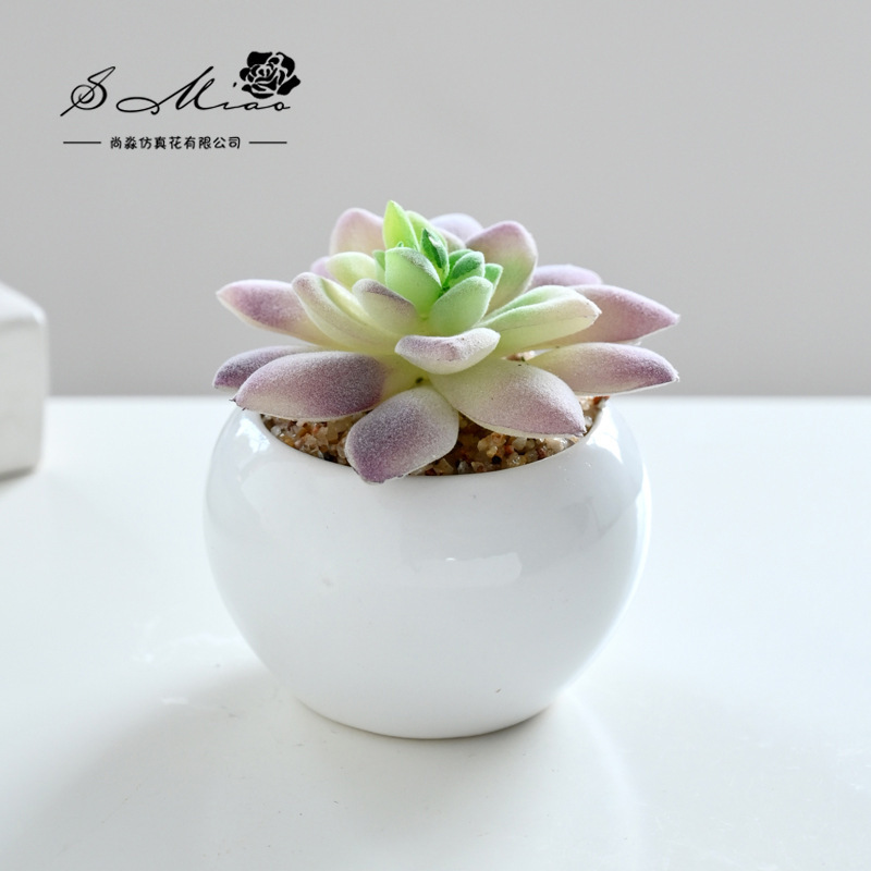 SKU_04
