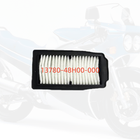Filtre à air en plastique prix usine 13780-48H01-000 13780-48H00-000 pour moto GW250