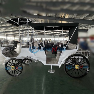 Black Sunshade Electric <b>Double</b>-row Sightseeing Carriage/leisure Sightseeing Carriage Sells Well - Product Image 4