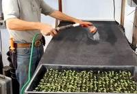 Taille découpable non tissé aiguille feutre matériel réutilisable respirant jardin/serre plante arrosage tapis capillaires pour l'horticulture
