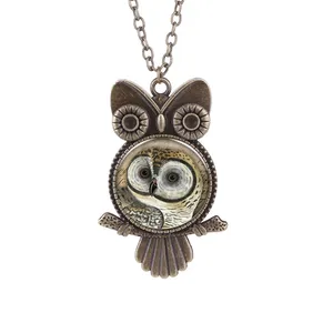 SX-139 Wholesale Unisex Antique Alloy Glass Jewelry Vintage Punk Style Owl Pendant Necklace