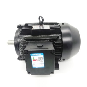 Motor Rand 23109945 de Fábrica para Compresores de Aire de Tornillo Industriales, Piezas de Repuesto para Motor de Compresor - Product Image 2