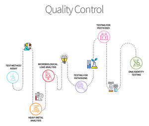חם מכירה טבעי תוספת צמחים 70% במבוק עלה סיליקה תמצית אבקת - Product Image 6