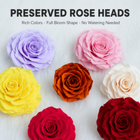 Têtes de roses naturelles préservées Lovebay, faites à la main, longue durée, diamètre 7-8 cm, pour arrangements floraux éternels