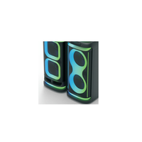 Enceinte Bluetooth extérieure double flamme 10 pouces, enceinte subwoofer, système audio portable haute puissance