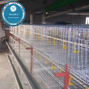 Malla de alambre soldada para equipos avícolas de pollos de Guinea de Madagascar, de fábrica de Guangzhou, para jaulas de aves. - Product Image 6