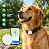 Dispositif de suivi d'animaux de compagnie rond personnalisé, sûr, durable, localisateur intelligent pour animaux de compagnie, collier anti-perte pour animaux de compagnie de petite, moyenne et grande taille