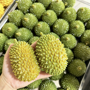 Nouveau Bloc de Construction DIY Durian Changeant de Forme, Jouet Anti-Stress à Presser Croustillant, Créatif et Sonore pour la Décompression - Product Image 1