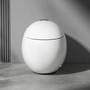 Intelligent Round Smart <strong>Toilet</strong> <strong>S</strong>-<strong>Trap</strong> Auto-Sensor WC Drainage with Remote Control and Dual-Flush - Product Image 5