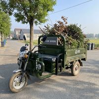60V Flesgroene anti-roest zelflossende anti-botsing sterke frame elektrische vracht-driewieler voor volwassenen voor levering van meststof op boerderijen
