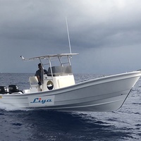 Liya Haute Qualité 25ft 7.6m Bateau Commercial en Fibre de Verre boston whaler bateau