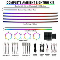 Kit d'éclairage d'ambiance intérieur LED universel pour voiture, à effet cascade dynamique, en acrylique, synchronisation musicale, OEM 12V