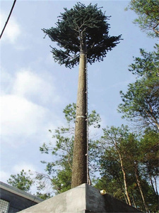 Torre de antena de pino artificial Torre celular camuflada para áreas rurales y urbanas - Product Image 4