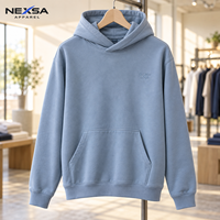 Sweat à capuche bleu poudré personnalisé de qualité supérieure avec logo tonal sur la poitrine, en coton doux, motif graphique lettré, style streetwear minimaliste décontracté, vente en gros