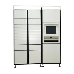 Electronic Express Locker, Intelligent Package Parcel Delivery Locker