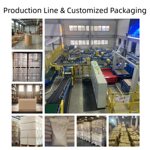 Additivo Alimentare Dextrina Resistente, Eccellente Sostituto dello Zucchero, Polvere Bianca di Grado Alimentare 25kg/sacco, Agente Dolcificante Yuanri Senza Zucchero 24 - Product Image 4