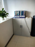 Archivador Metálico Bajo de Oficina con 2 Puertas, Armario de Almacenamiento de Acero con Cerradura y Partición Ajustable para Documentos y Papelería