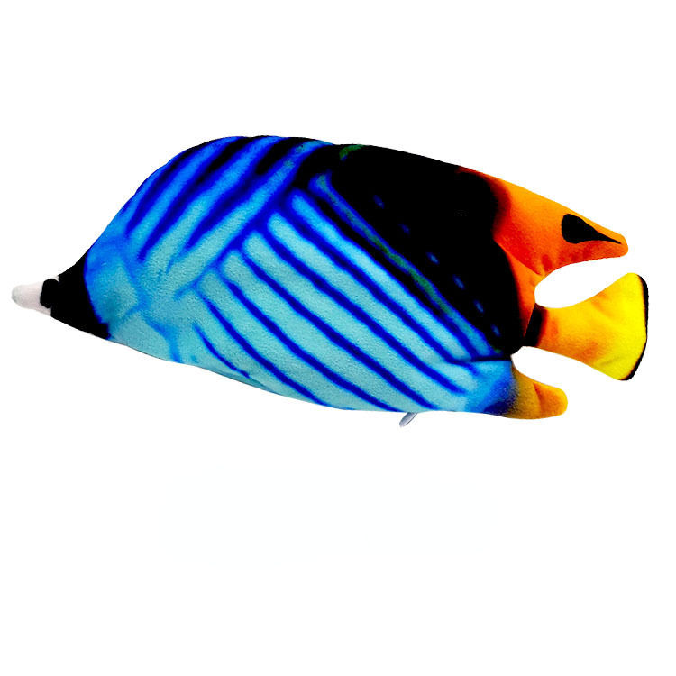 blue-Butterflyfish