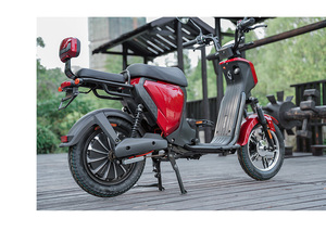 Venta Directa de Fábrica: Motocicleta Eléctrica de Alta Potencia de 1000W, Velocidad de 45km/h, Tipo Moped - Product Image 3
