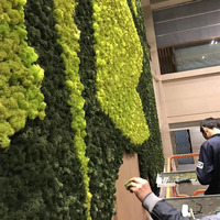 Blanche nouveau design écologique, mousse à perche stabilisée, pour la décoration de la maison, vente en gros