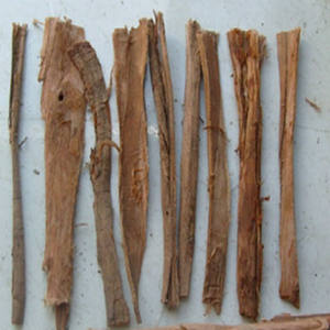 Polvo de olmo resbaladizo Natural de alta calidad certificado GMP, extracto de hierbas de grado alimenticio, Ulmus Pumila, corteza líquida, tambor certificado Halal - Product Image 2