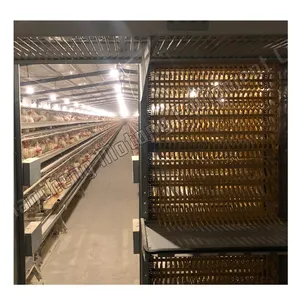 Gelişmiş 10k-50k tavuk run metal 4 katlı horoz kafes nijerya'da satılan - Product Image 1