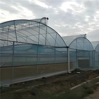 Vente en gros Serre d'extérieur GT Grande serre commerciale agricole multi-travée avec cadre en métal pour plantes