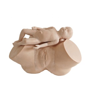 Modèle de bassin féminin Medica Science pour l'enseignement et la formation en sage-femme, simulateur d'accouchement anormal - Product Image 5
