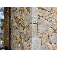 Revêtement mural en pierre naturelle SH STONE, quartzite jaune, forme libre, pour décoration extérieure