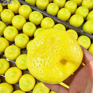 Balle anti-stress créative en plastique citron changeant de couleur, faite à la main, sonore et crépitante, pour soulager l'anxiété et la décompression - Product Image 2