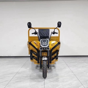 Vélo-taxi à 3 roues en promotion, fourni directement par l'usine / Tricycle électrique - Product Image 6