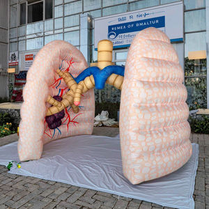 Modelo anatómico <span class=keywords><strong>de</strong></span> pulmón inflable al aire libre, globo publicitario <span class=keywords><strong>de</strong></span> Educación Médica para modelo publicitario inflable al aire libre - Product Image 1