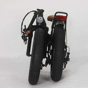 Vélo électrique 20 pouces, usine européenne, pas de droits de douane, ebike 36V/48V G2002A3F, moteur arrière pliable, nouveau modèle de vélo pedelec e - Product Image 5