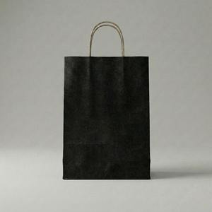 Custom Printed Kraft Paper Packaging <b>Bag</b> with Twisted Handles - Product Image 2