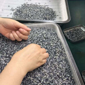 2.12*12mm 134.2khz FDX-B EM4305 Mini Tag <strong>Dog</strong> <strong>Microchip</strong> Implant Micro Pet Chips RFID Glass Tube Transponder Tag Animal - Product Image 3