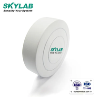 Petit dispositif de suivi IoT Ble 5.0 iBeacon Eddystone Balise Bluetooth Balise de suivi des actifs Balise Ble