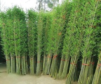 Bambou artificiel réaliste pour la décoration de la maison, du jardin et de l'hôtel, plantes artificielles de haute qualité, plantes artificielles d'intérieur, bonsaïs artificiels